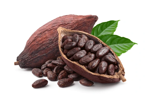 Cacao Puro vs. ColaCao: Una Comparación Nutricional